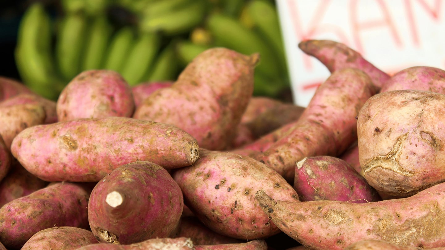 Gros plan sur les patates douces issues de l'offre Future Foods du WWF.