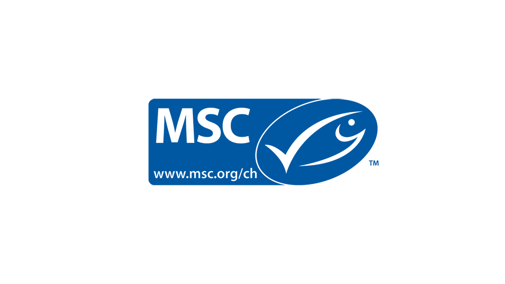 MSC Logo.