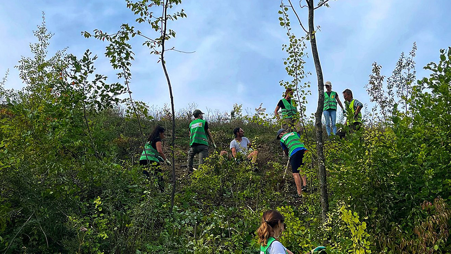 Junge Personen sammeln Abfall in der Natur.