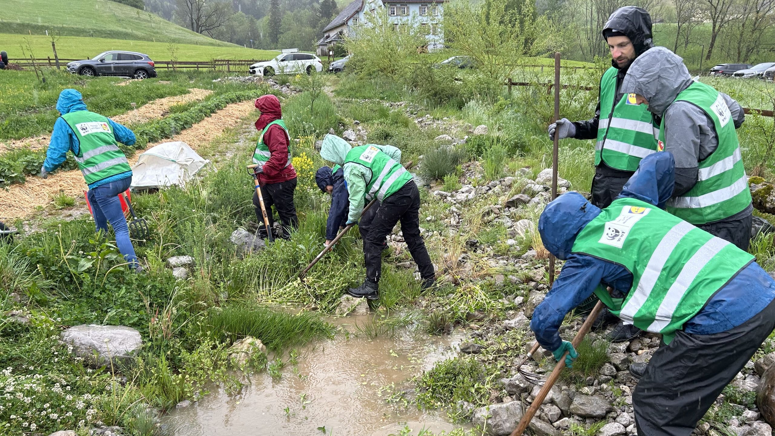 Des bénévoles portant des gilets de sécurité WWF et Lidl nettoient le lit d'un ruisseau en Suisse orientale par temps de pluie.