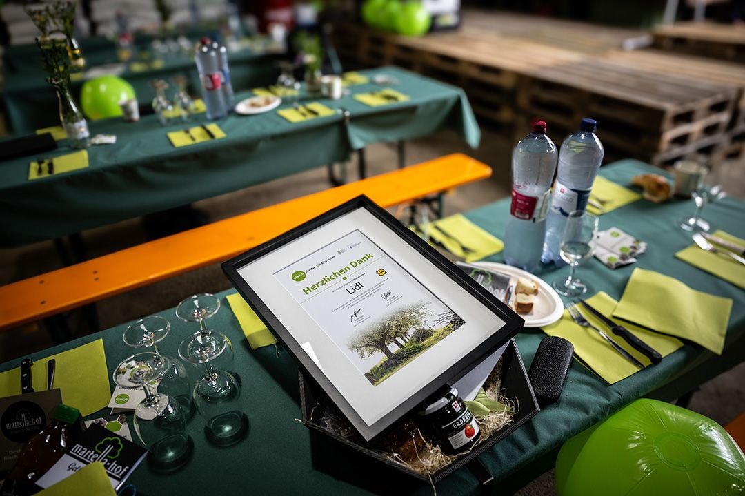 un diploma PlanB giace su un tavolo coperto da una tovaglia verde