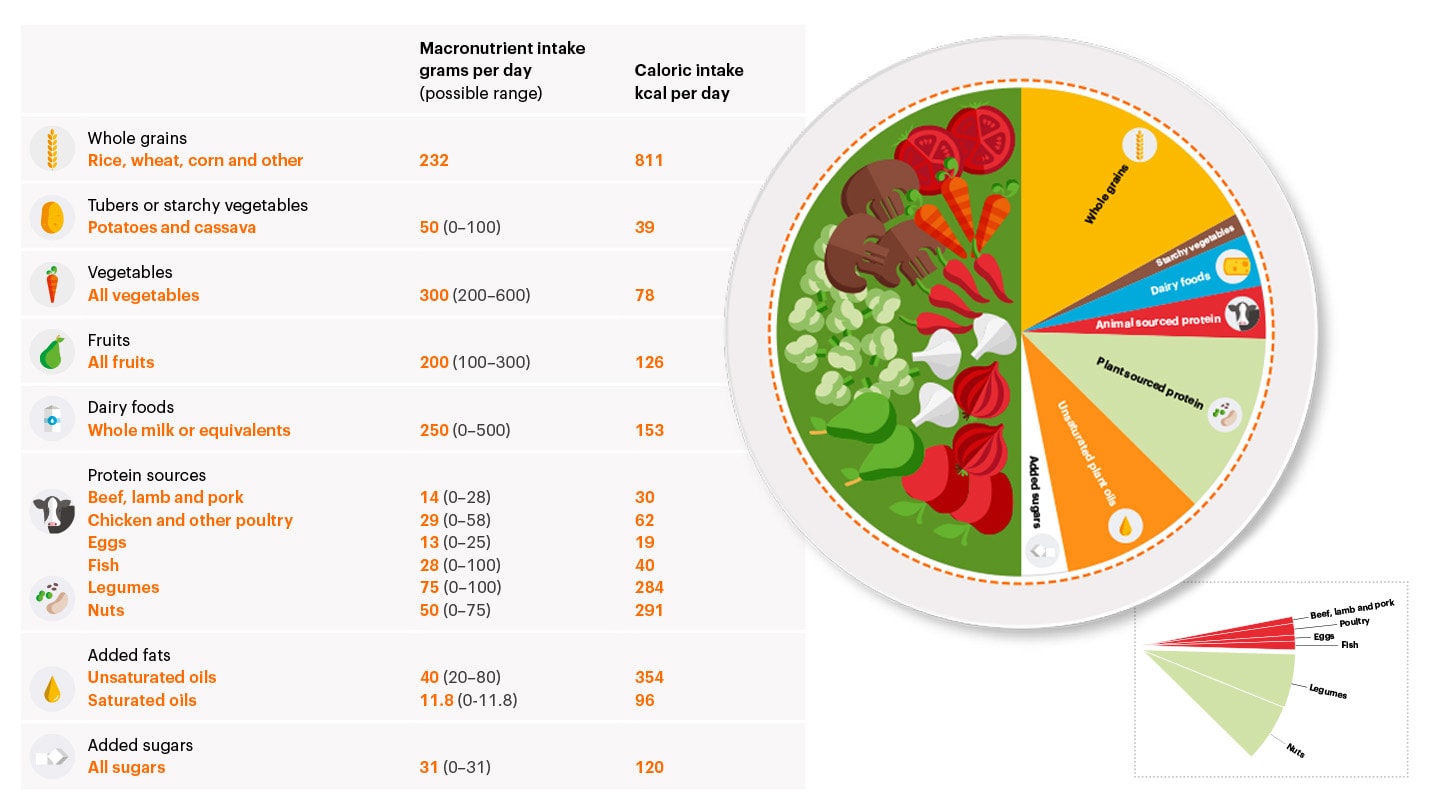 Planetary Diet Ernährungsinfografik mit Lebensmittelkreis.