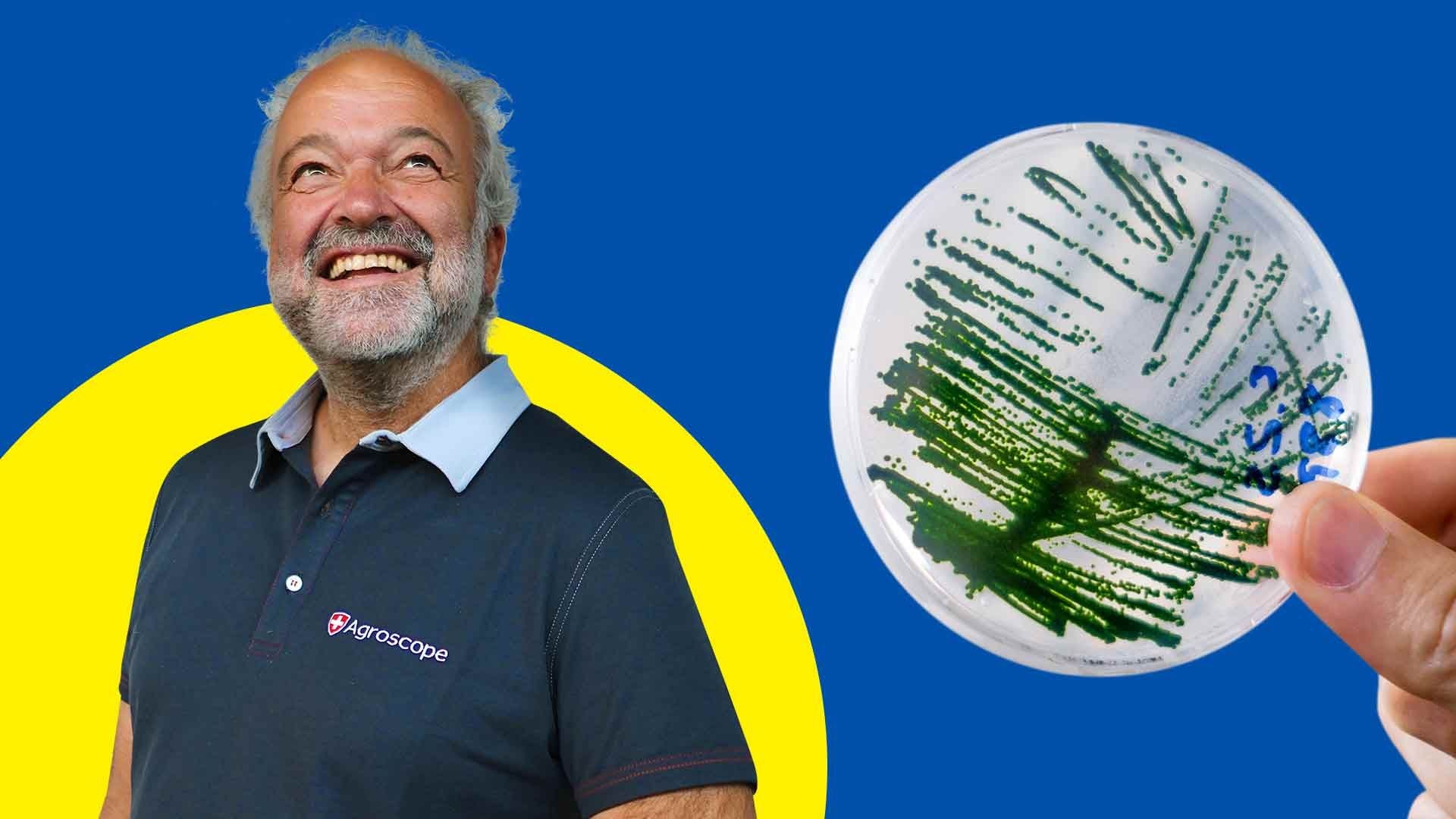 Agrocope Visual