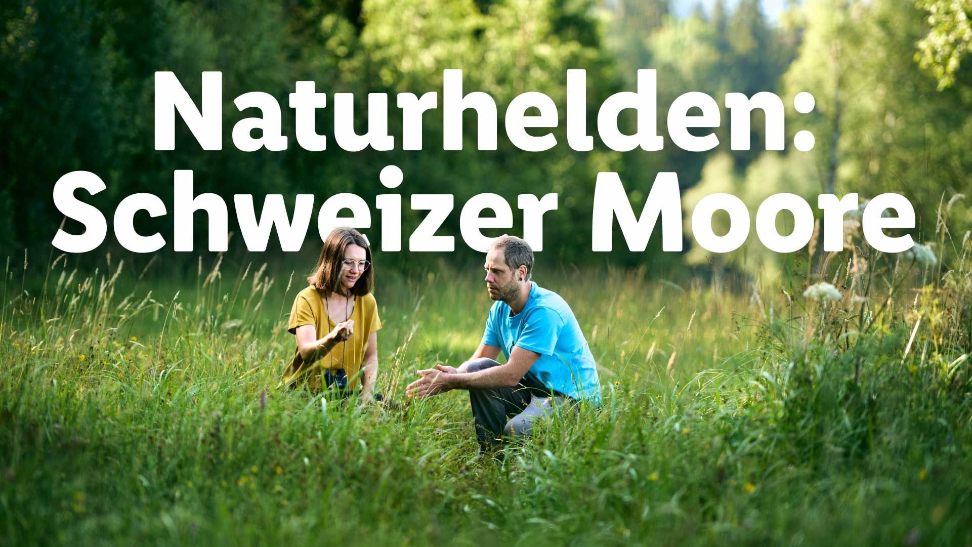 Artikel-Moor-Thumbnail-Video
