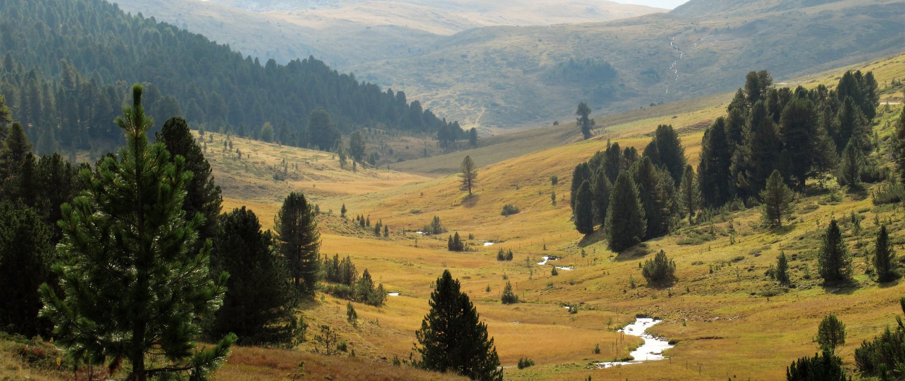 Blick auf eine Moorlandschaft.