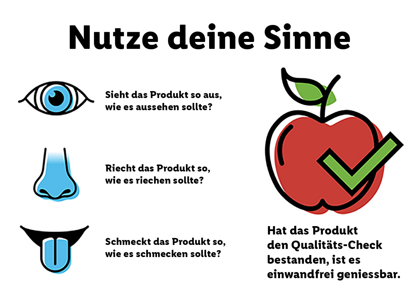 Illustration zu "Nutze deine Sinne".