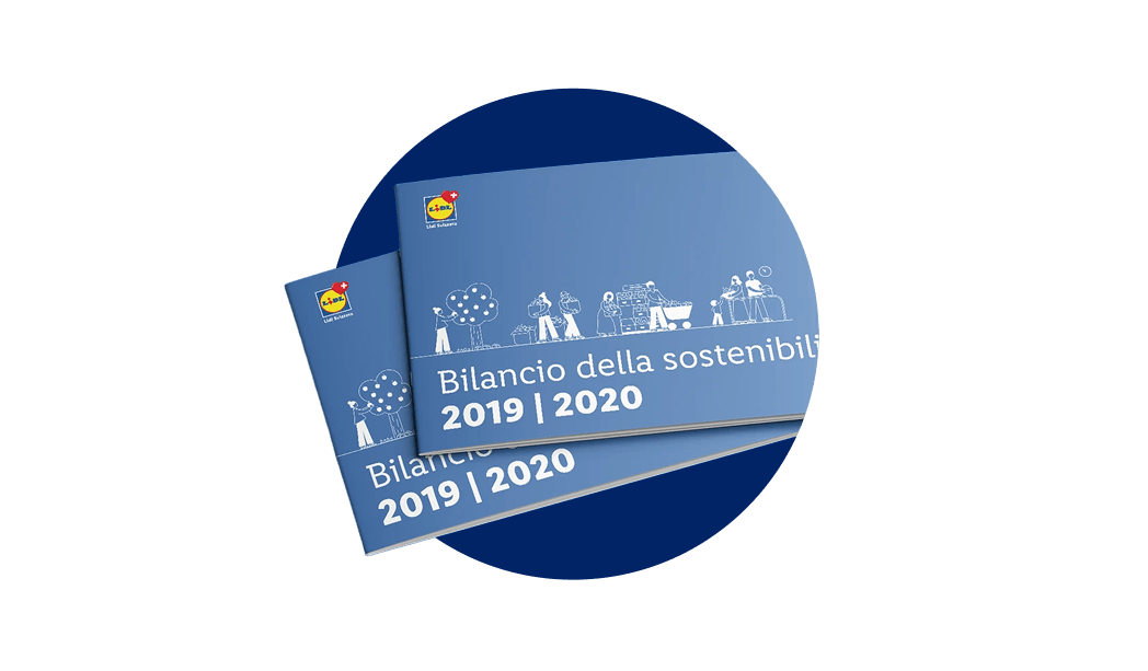 Nachhaltigkeitsbericht 2019 bis 2020