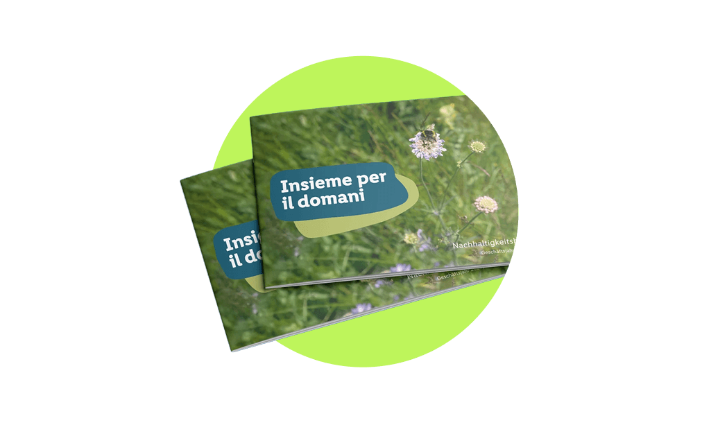 Nachhaltigkeitsbericht 2023 bis 2024