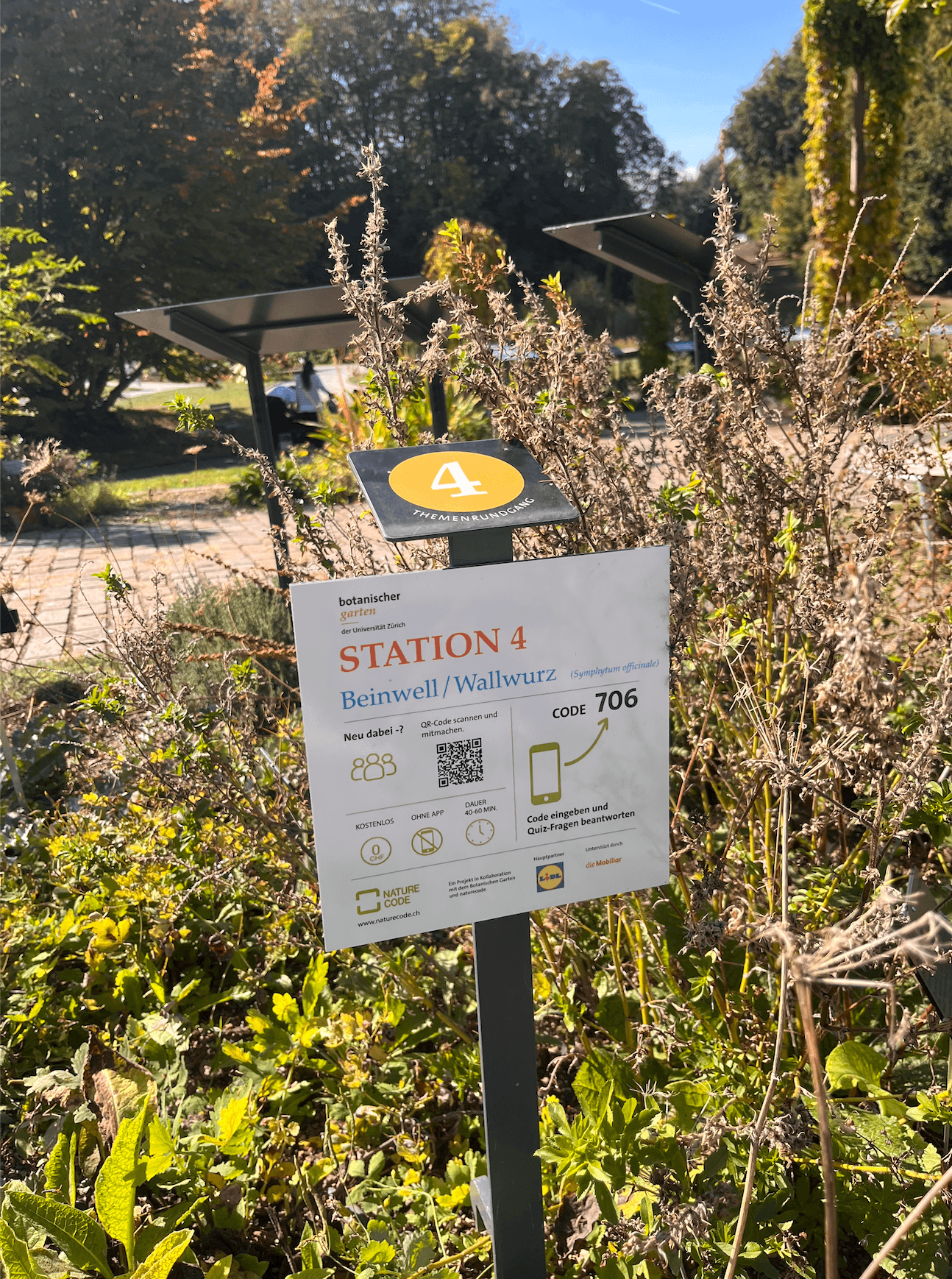 Nature Code Botanischer Garten Station 4 Nature Code Botanischer Garten Station 4