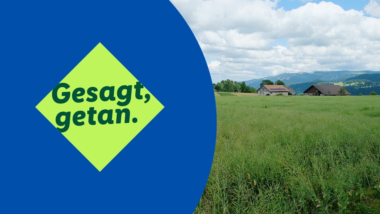 Rapsfeld mit Bauernhof im Hintergrund. Deutsches Youtube-Thumbnail, Gesagt getan.