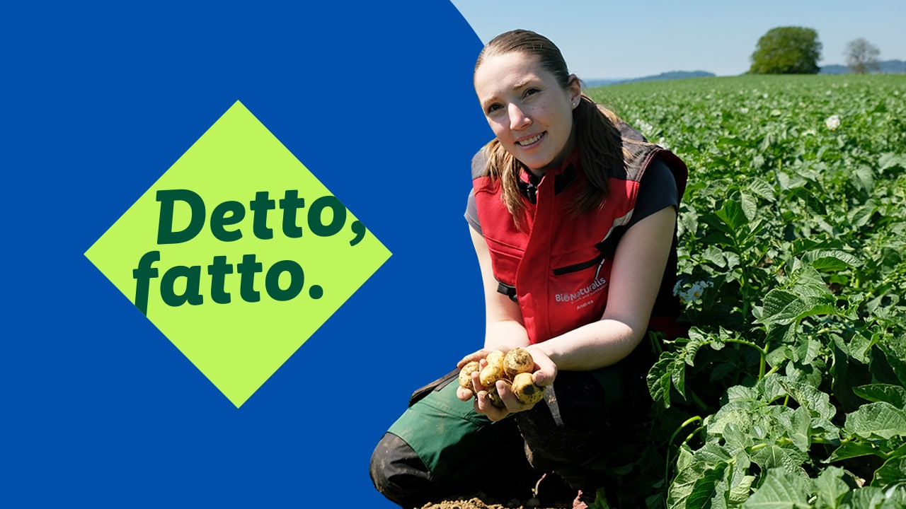 Andrea Brack con delle patate tra le mani. Miniatura italiana su YouTube, Detto fatto.