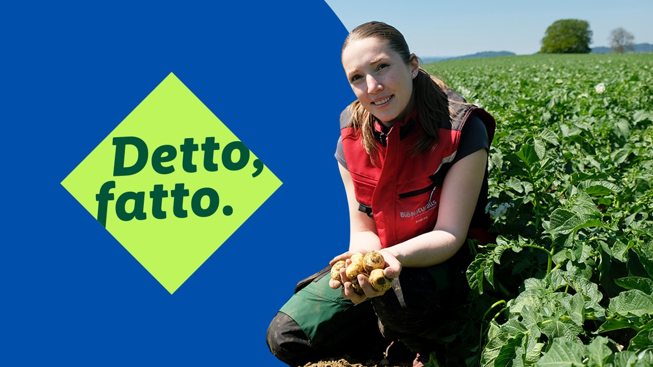 Andrea Brack con delle patate tra le mani. Miniatura italiana su YouTube, Detto fatto.