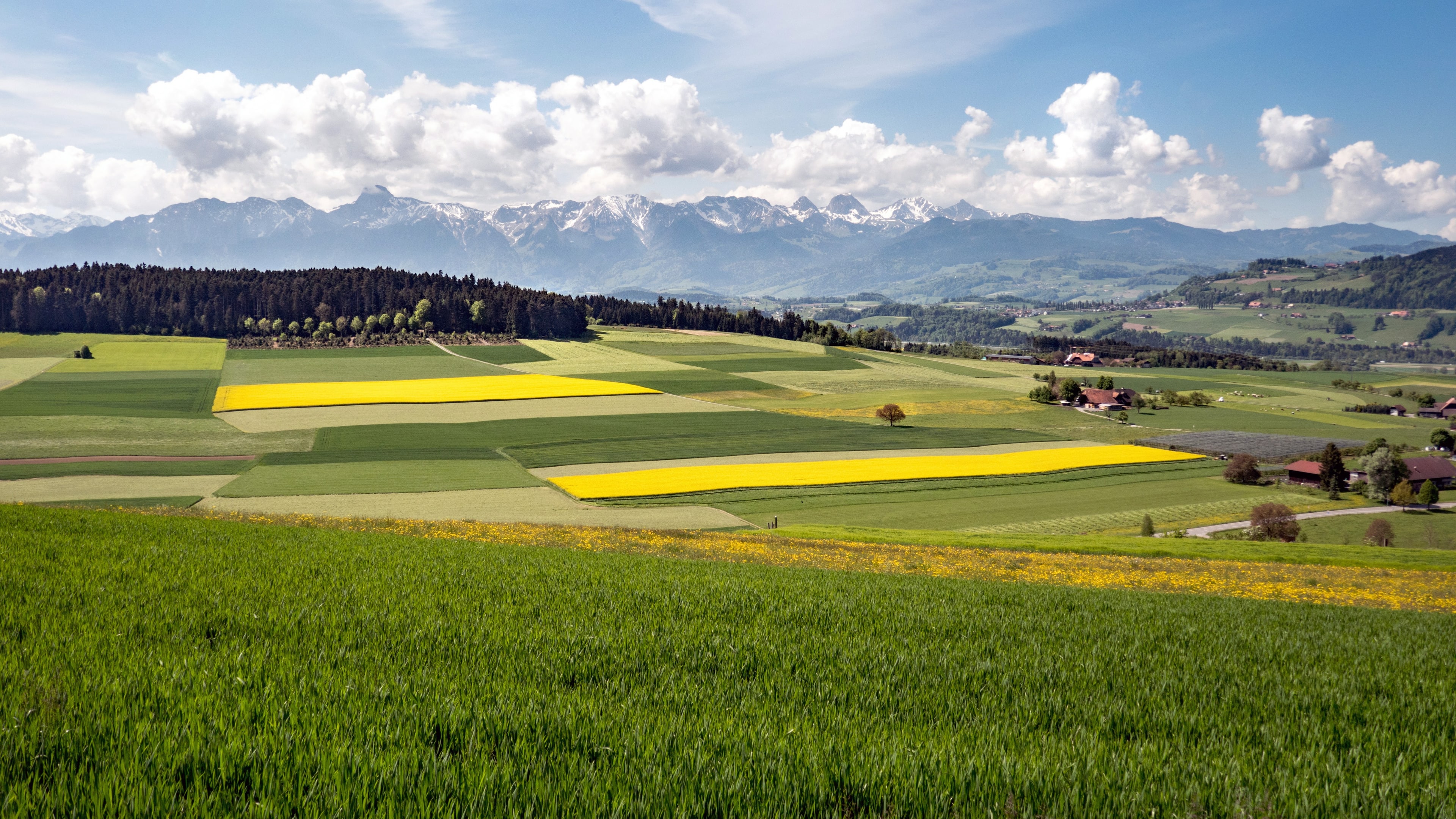Blick über landwirtschaftliche Grünflächen bei schönem Wetter und blauem Himmel.