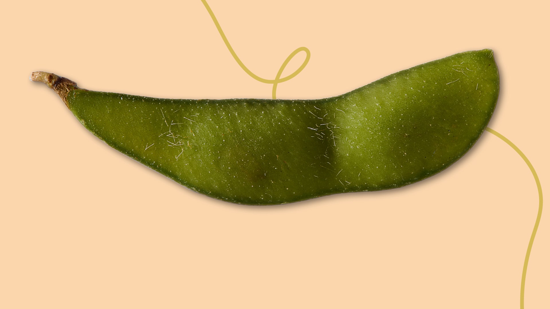 Aperçu du slider 4 pour Future Foods de Lidl.