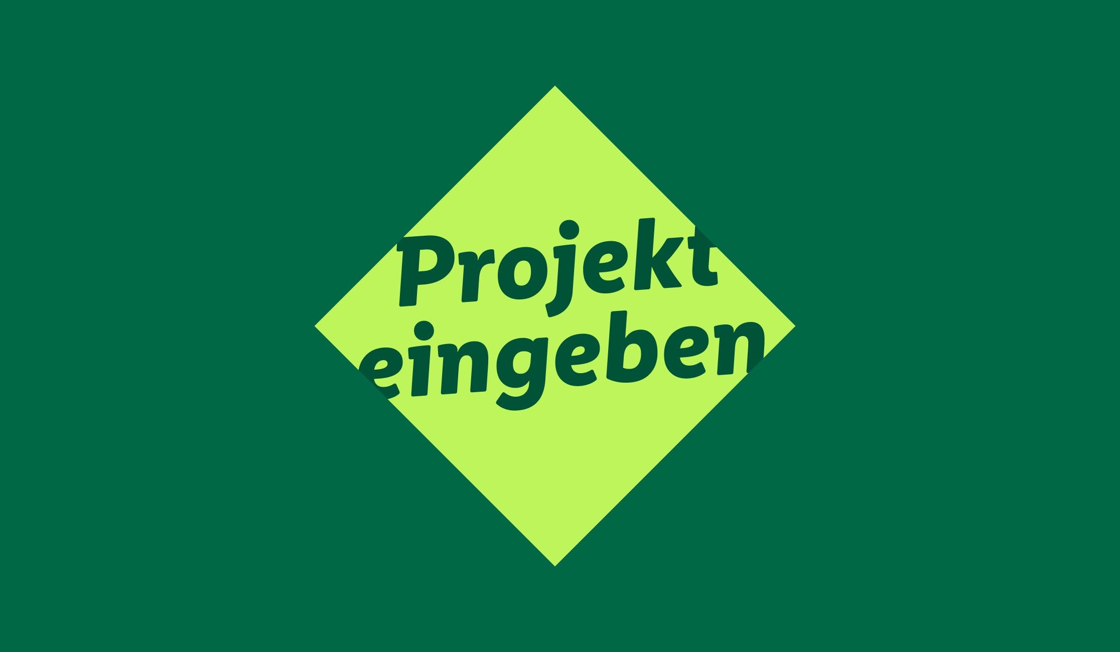 Projekt eingeben