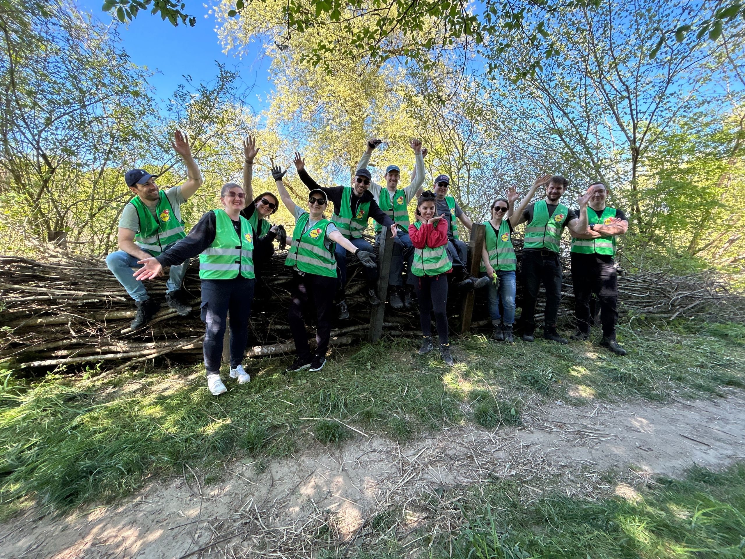 Onze collaborateurs de Lidl Suisse en gilets de sécurité verts célèbrent bras levés devant la structure en clayonnage qu'ils ont construite ensemble – conclusion enthousiaste d'un engagement bénévole en équipe pour promouvoir la biodiversité et valoriser les habitats du sonneur à ventre jaune.