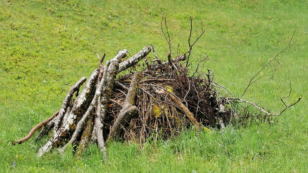 Auf einer saftigen grünen wiese liegen verschieden grosse Stöcke zusammen auf einem Haufen