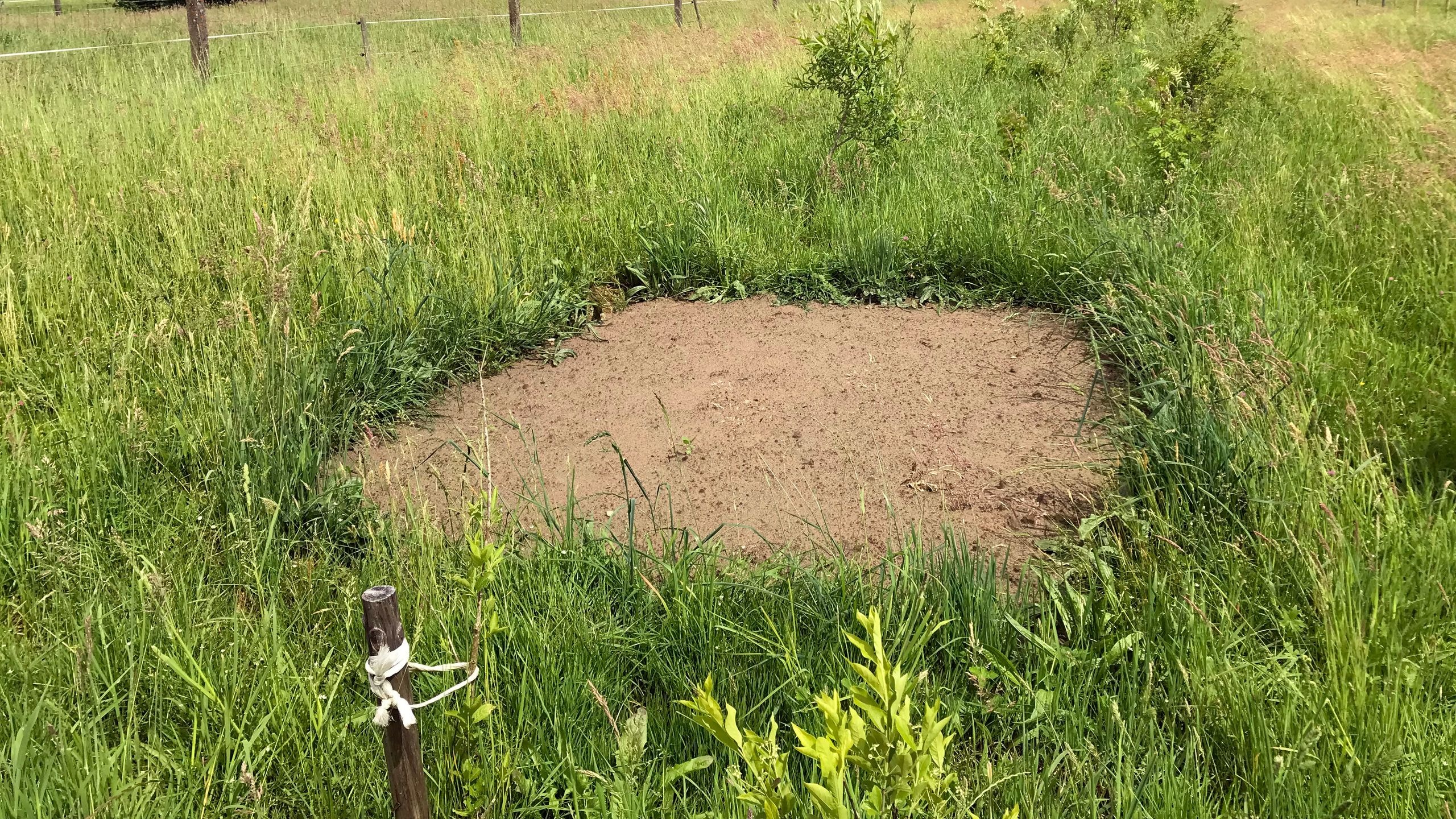 Inmitten einer saftigen grünen wiese ist eine flache stelle zu sehen auf der eine schickt sand liegt