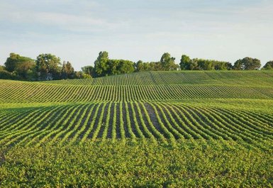 Bio Landbau